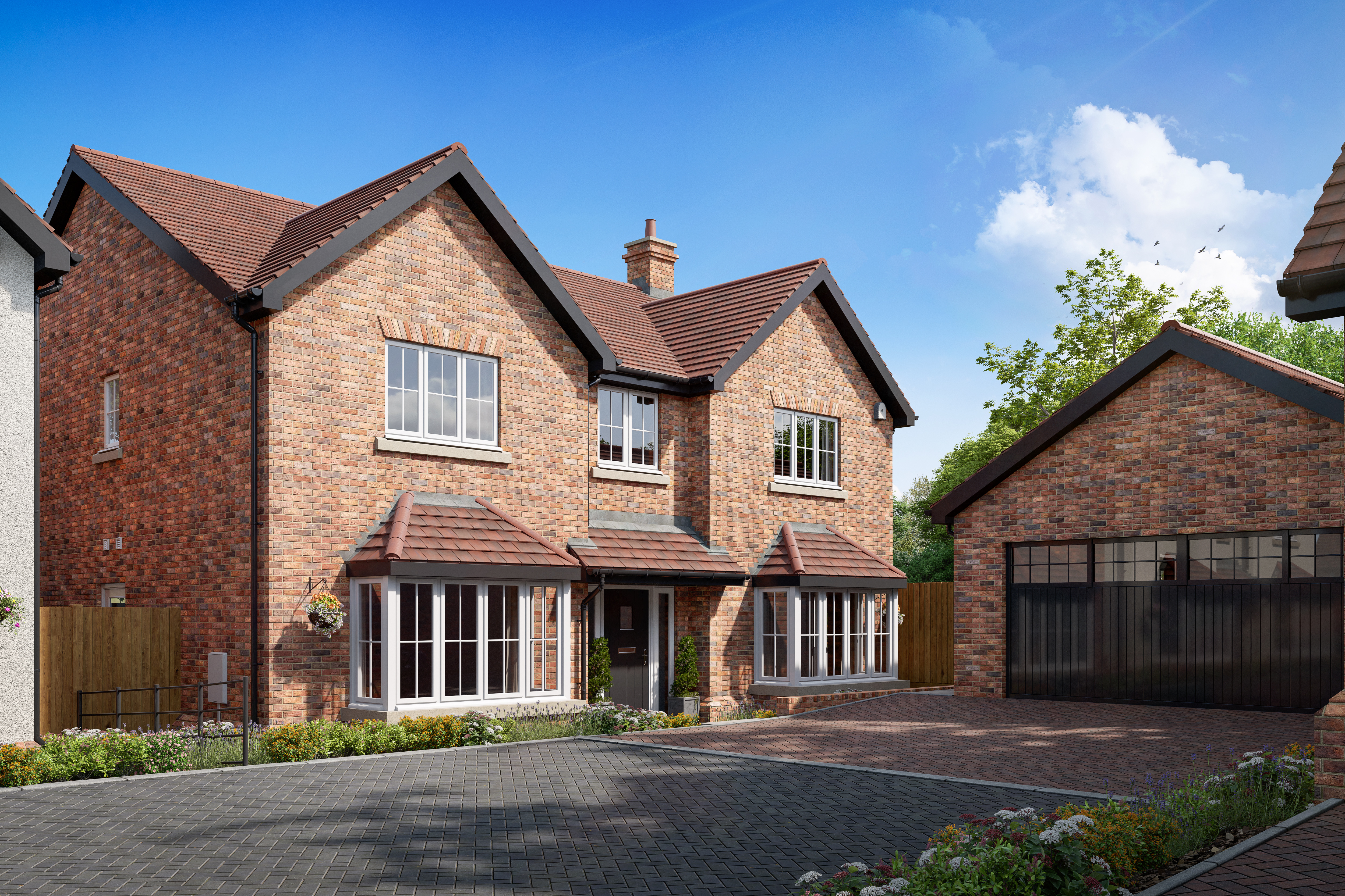 The Rose 1 - Plot 3
